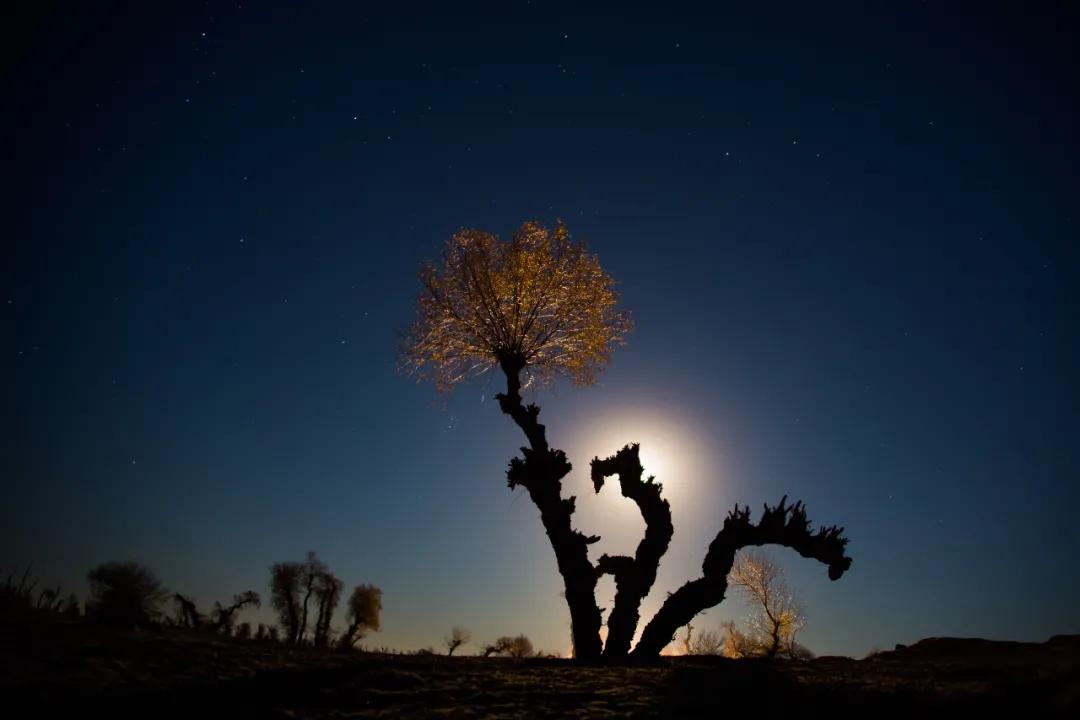 【聚焦】内蒙古一场注定不寻常的赛事即将幕启奈曼!!!