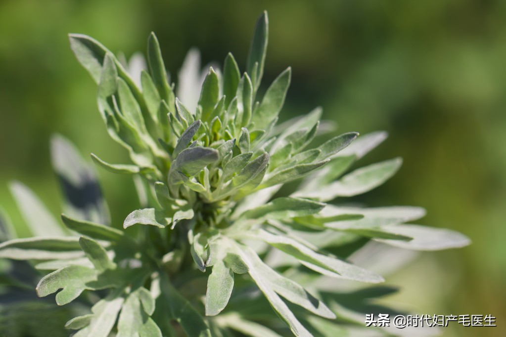 产后虚寒食疗,产后虚吃什么最补气血