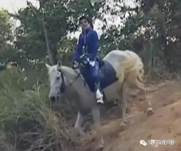 白敬亭蹭铁哥热度,林更新蹭苏翊鸣热度