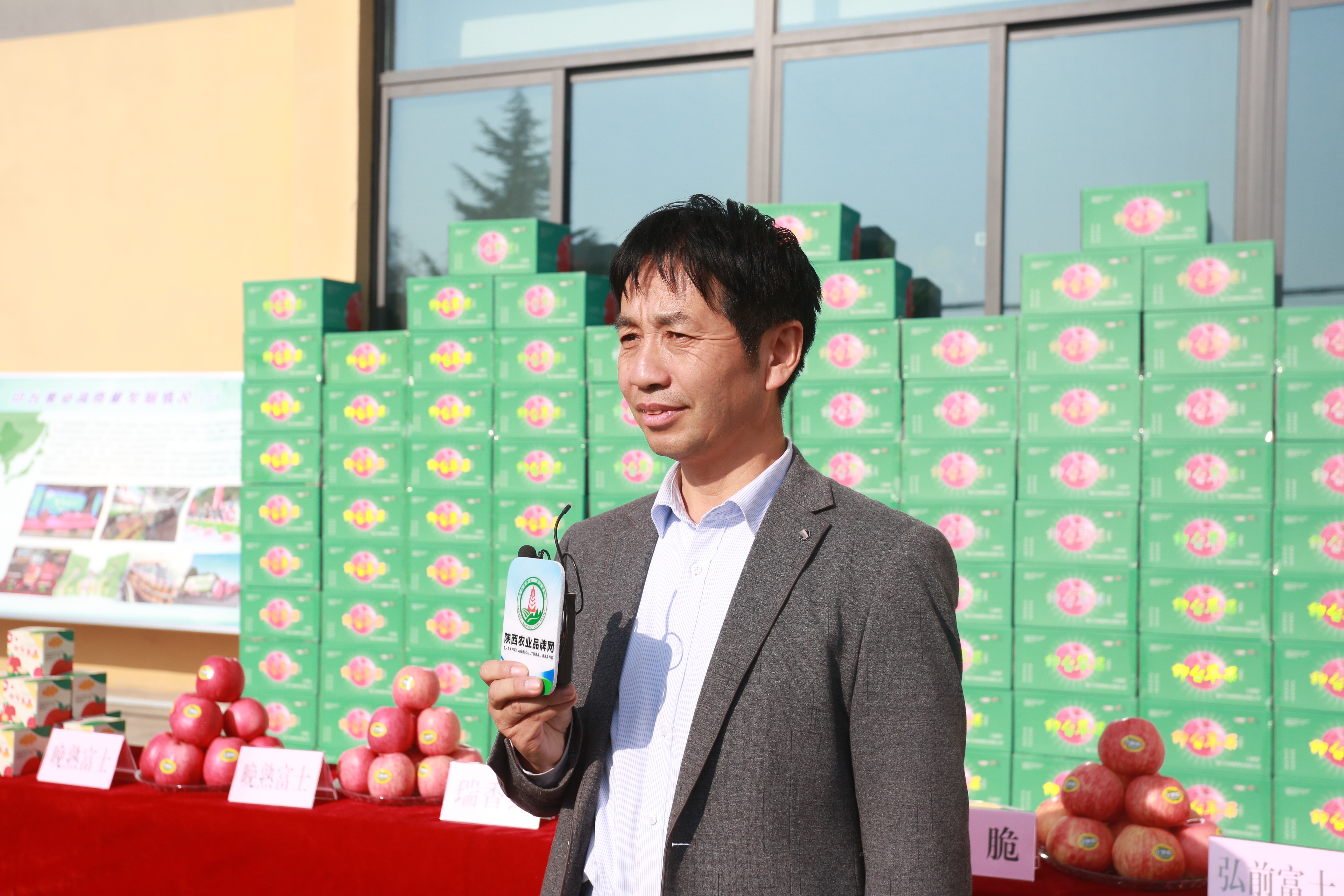 一品苹果·唯美印台，陕西果业产区行走进铜川印台区苹果优生区