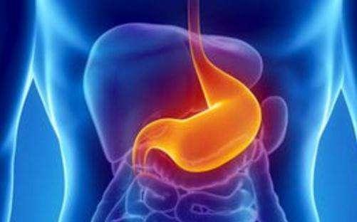 为什么吃猪肚能养胃,胃不好的人猪肚炖什么能养胃