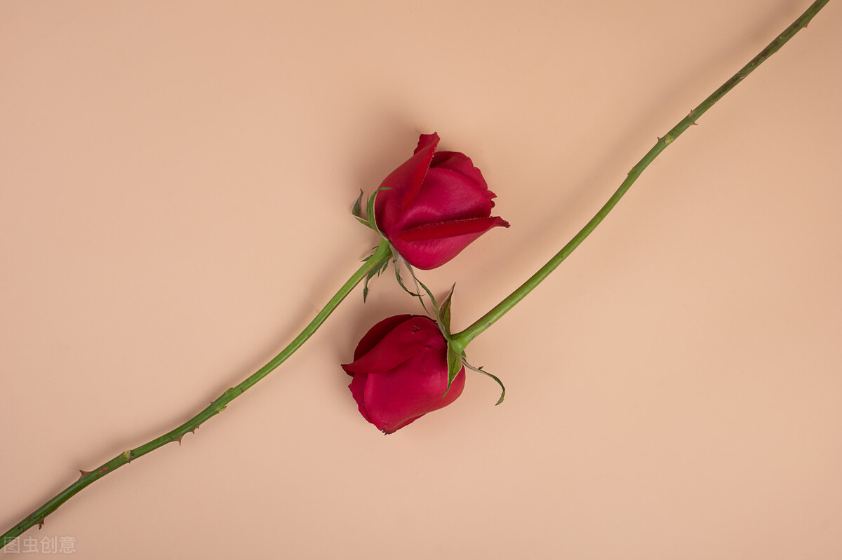 凤凰男所谓的自尊心,中国人精致的利己主义者