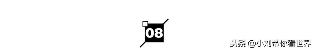 十大网红养生食品,2020十大网红食物