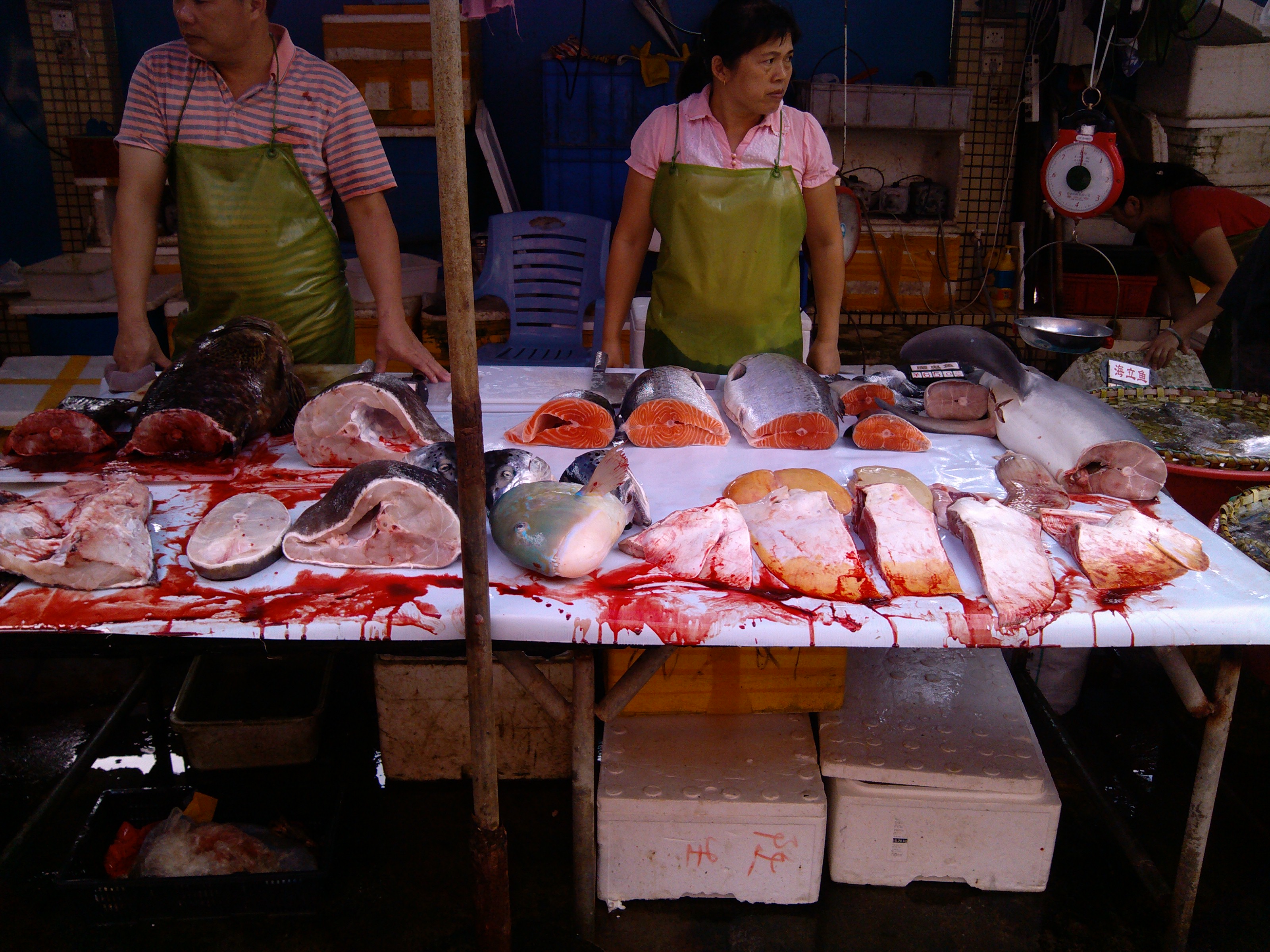 珠海石景山公园攻略,珠海澳门环岛游时间表