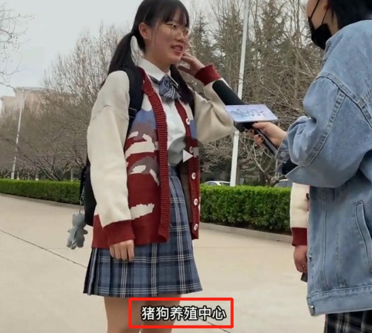 大学室友关系等级表火了，“第2级”最舒服，你们宿舍在哪一级？