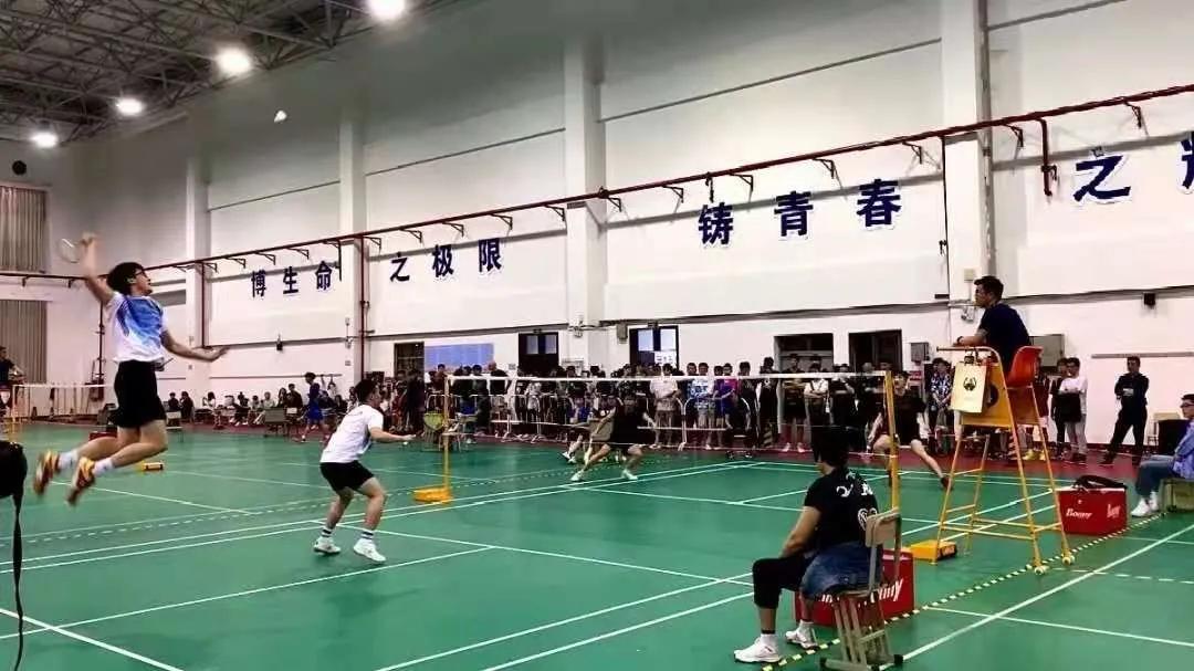 篮球足球排球台球网球,篮球足球羽毛球乒乓球排球图片