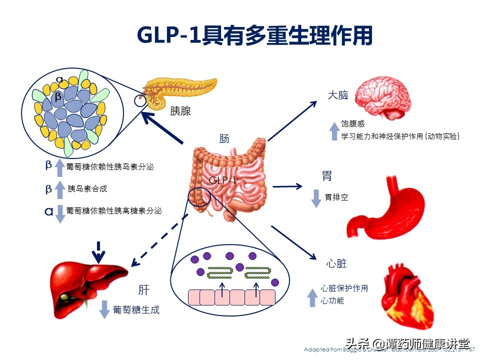 最新降血糖神药,目前糖尿病最好的降糖药是哪种