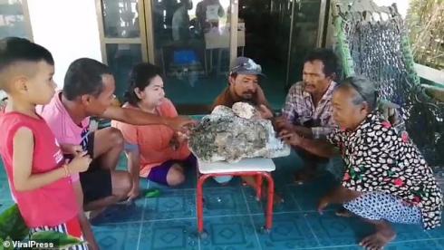 一块屎价值500万？？？