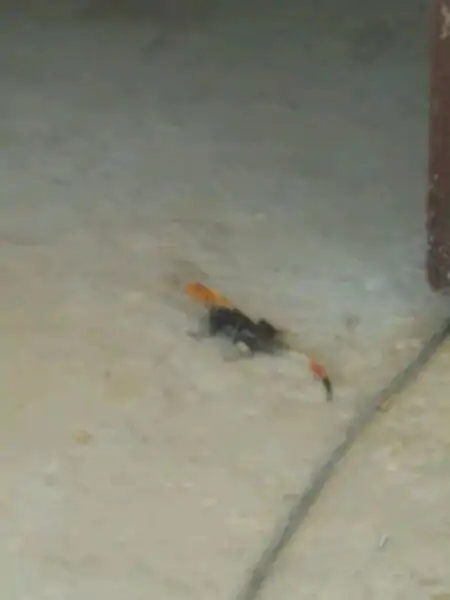 带你去赤道看海,赤道几内亚国家地图