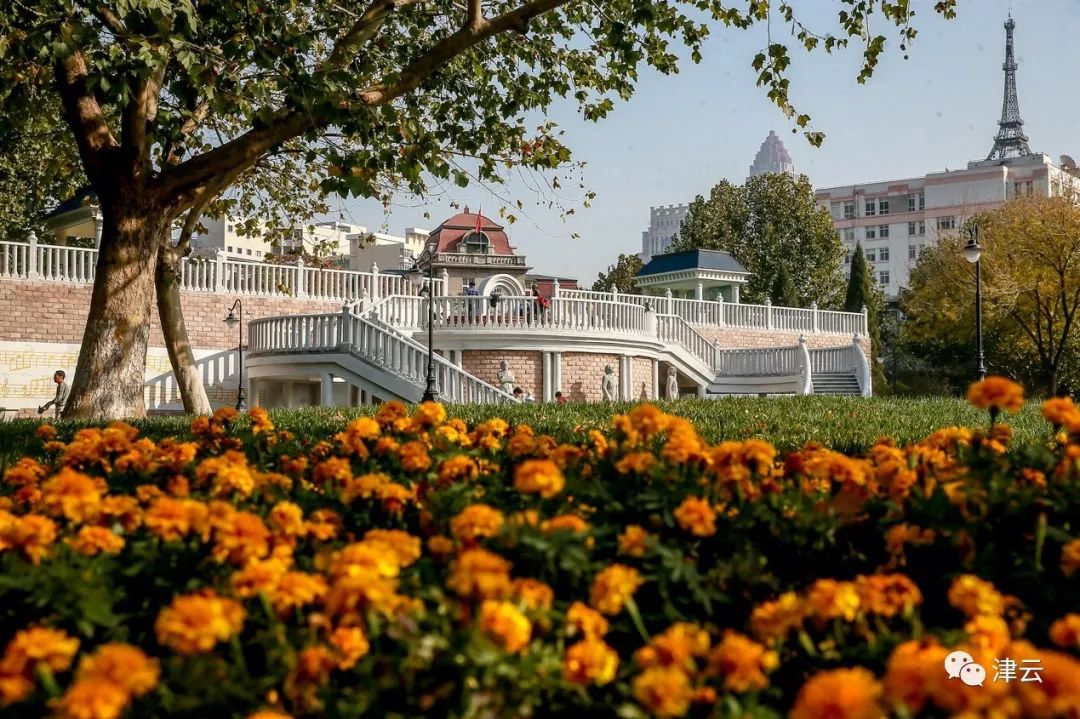 中心公园现状,城市中心公园