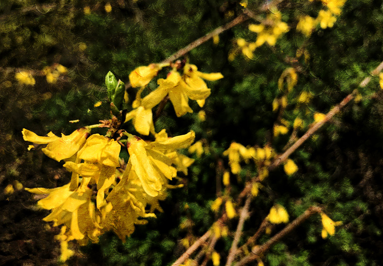 春至牛首，世凹春妆，画中徜徉，处处诗章-游南京江宁世凹桃源