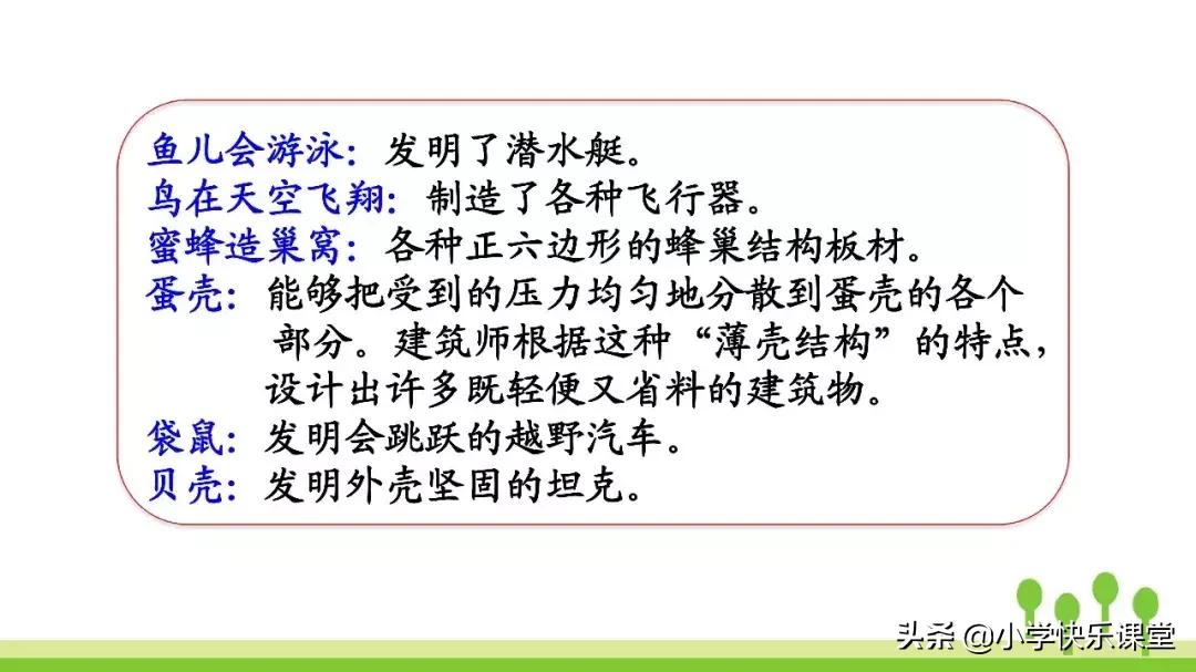 四年级上册语文蝙蝠和雷达课后题,部编版四年级上册语文蝙蝠和雷达