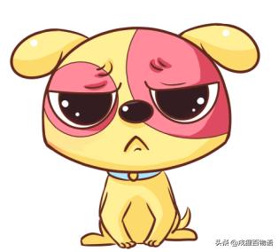 狗狗缺钙除了吃钙片还有什么办法,狗狗腿无力打什么针