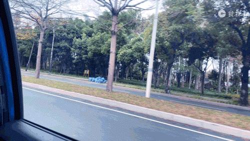 深圳的美食街多少钱,深圳的美食老店