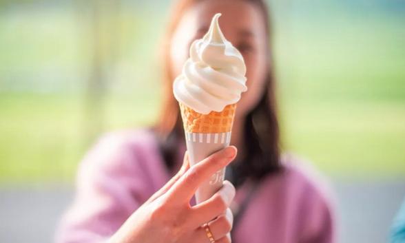 来自大草原的美食之旅,吃大草原上的美食