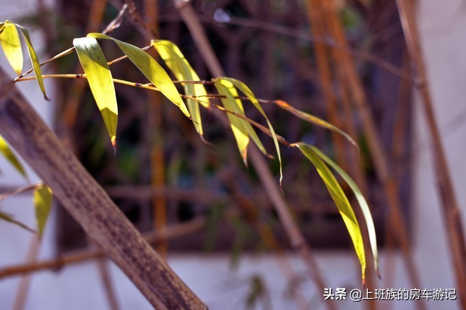 南通狼山一日游详细攻略图,夏天南通狼山一日游详细攻略