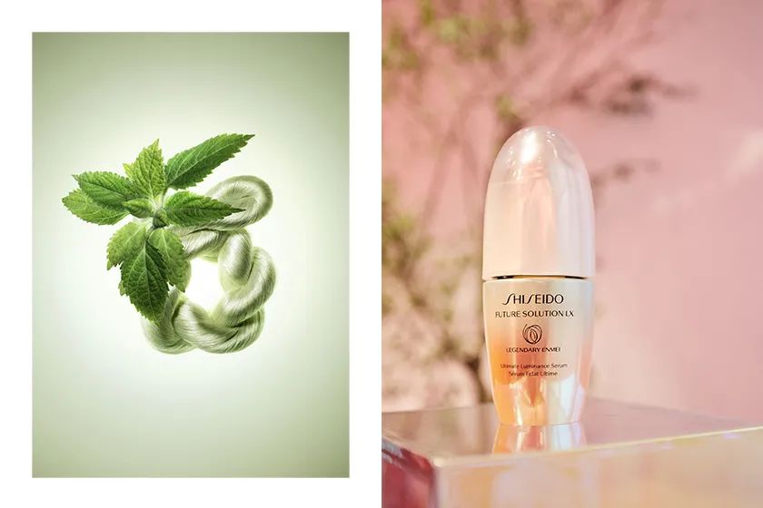 资生堂贵妇系列面霜,资生堂五合一面霜哪个系列最好用