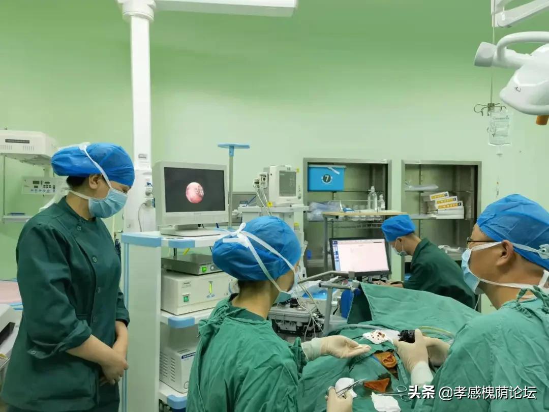 94岁老人耳痛“痛不欲生”航医精准治疗解除病痛