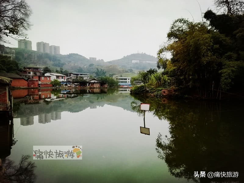 自贡桃花山学校,2014年自贡市桃花山学校