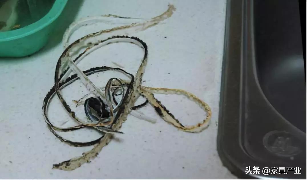 南方人家里一年四季都在发霉？这份除霉秘籍快收好