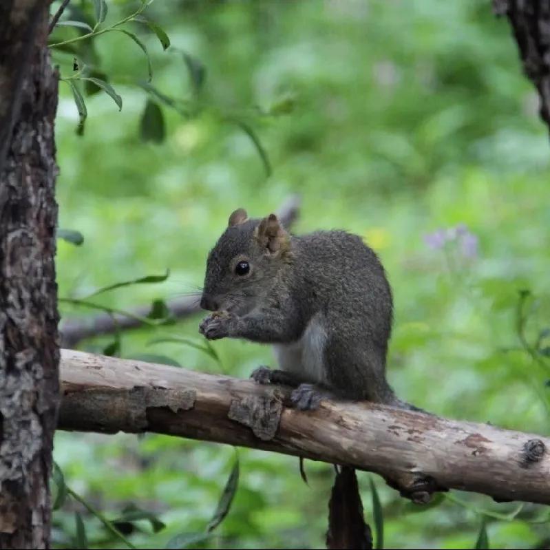 去稻城亚丁要经过哪些地方,去稻城亚丁旅游必备什么条件呢