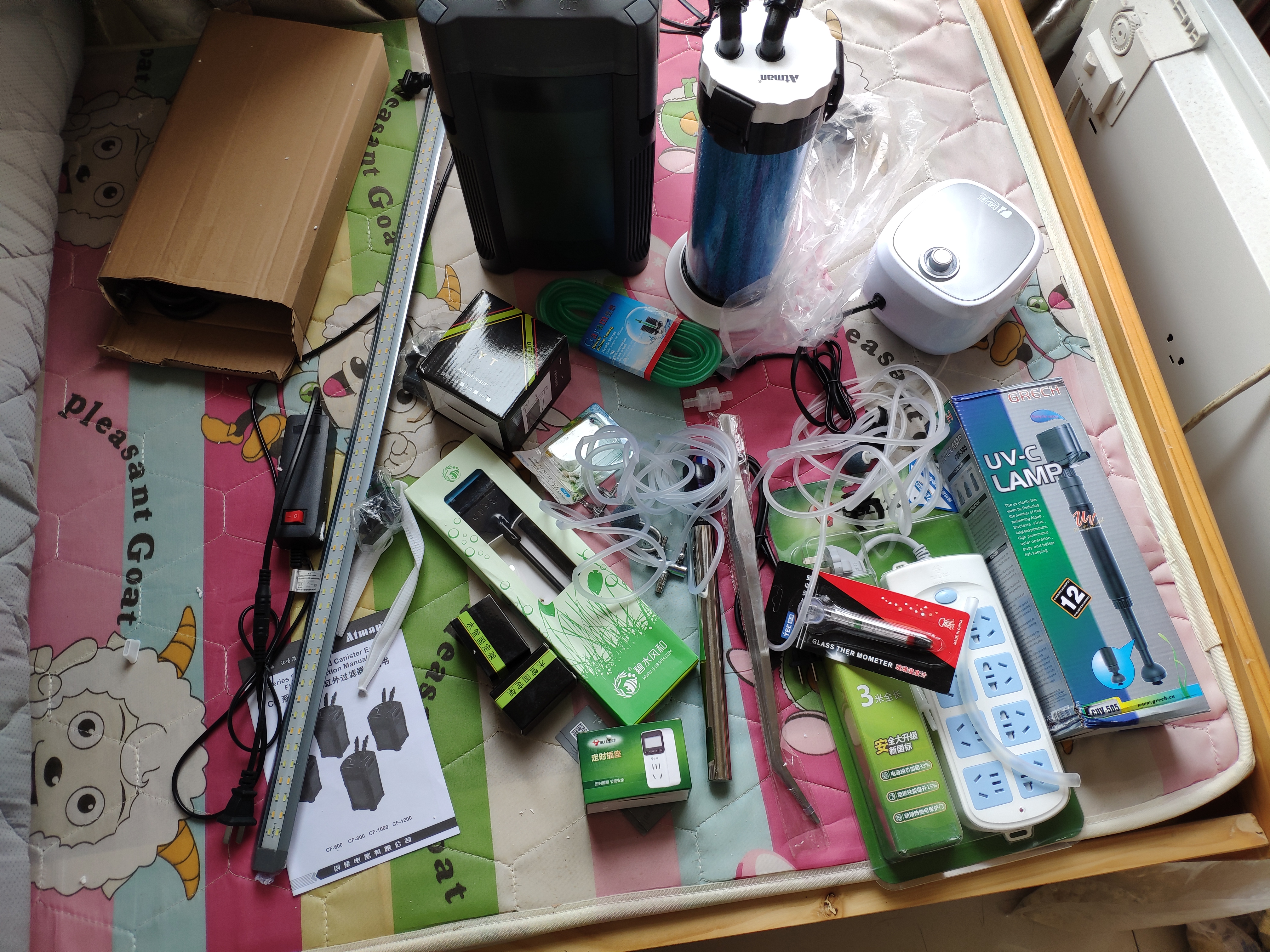 入坑草缸你准备好了吗,草缸入坑观赏鱼