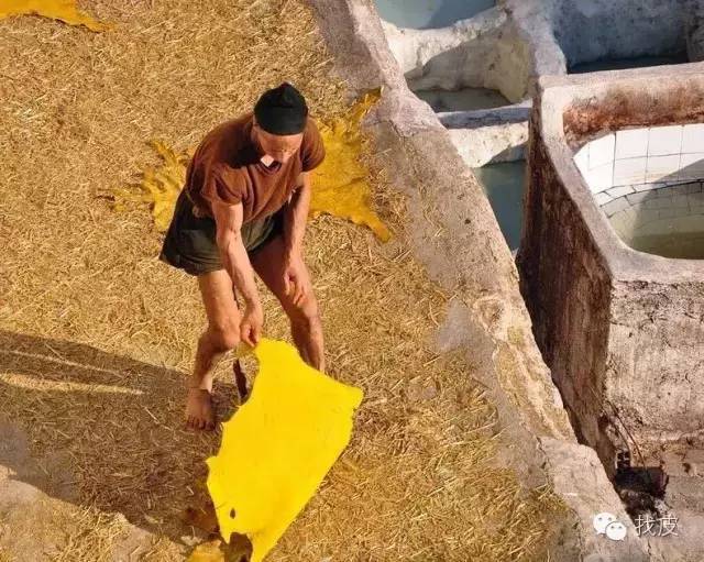 摩洛哥传承千年的古老制皮法,摩洛哥古法制皮