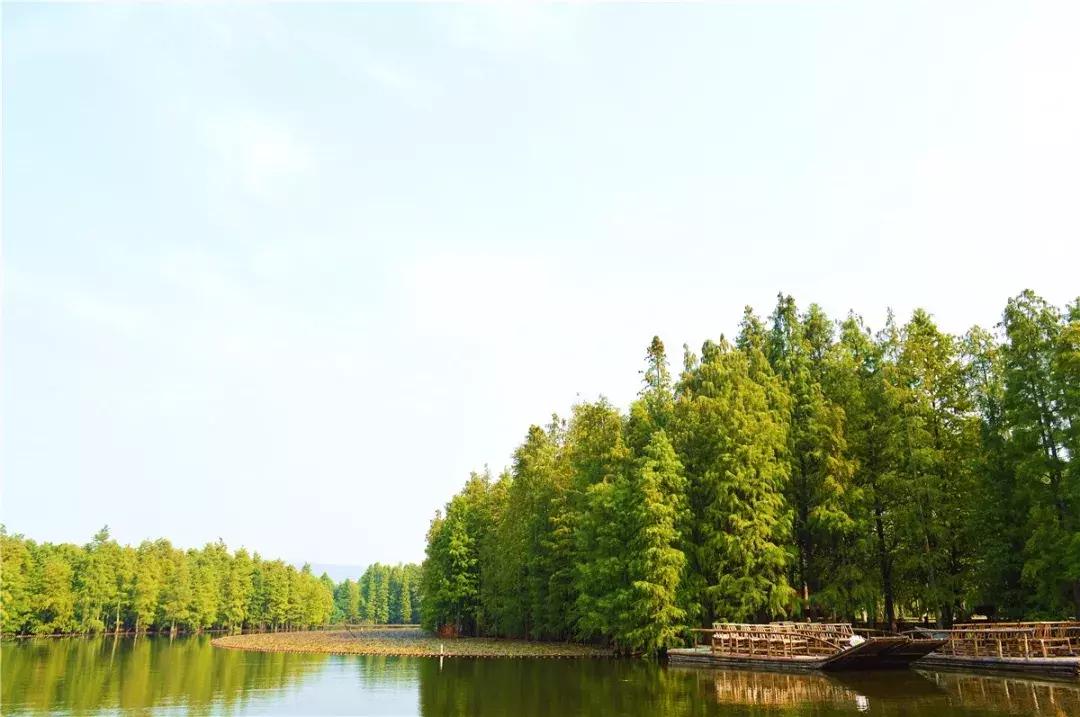 最值得去的免费旅游的景区,5.19中国旅游日免费门票景区