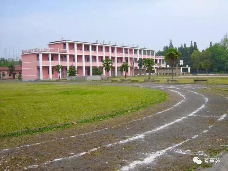 承包童年回忆的剧,九棉一厂回忆录