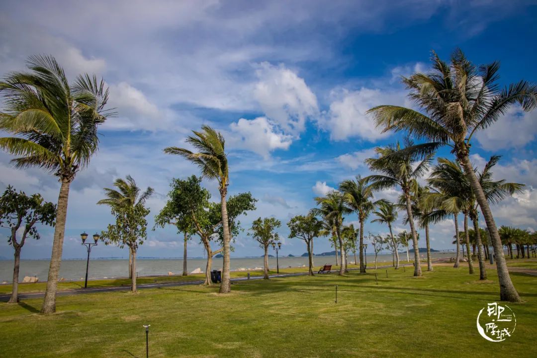 我去了最适合谈恋爱的珠海，回来却还是个单身狗