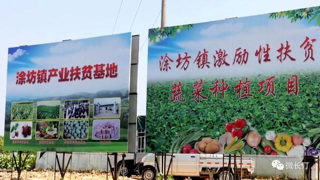 有特色接地气致富快龙岩市长汀县涂坊镇激励性产业扶贫成效明显