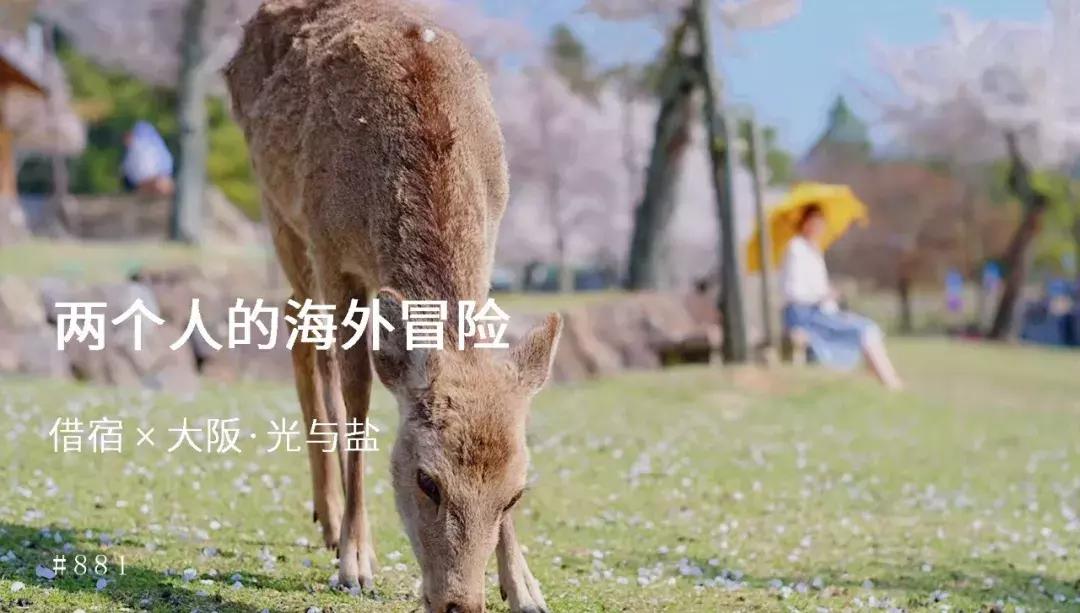 上海夫妻打工20年买了一套房子,80后小夫妻300万买下日本一栋楼