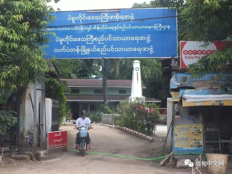 一晚毒杀19条狗狗,毒杀大批狗狗事件