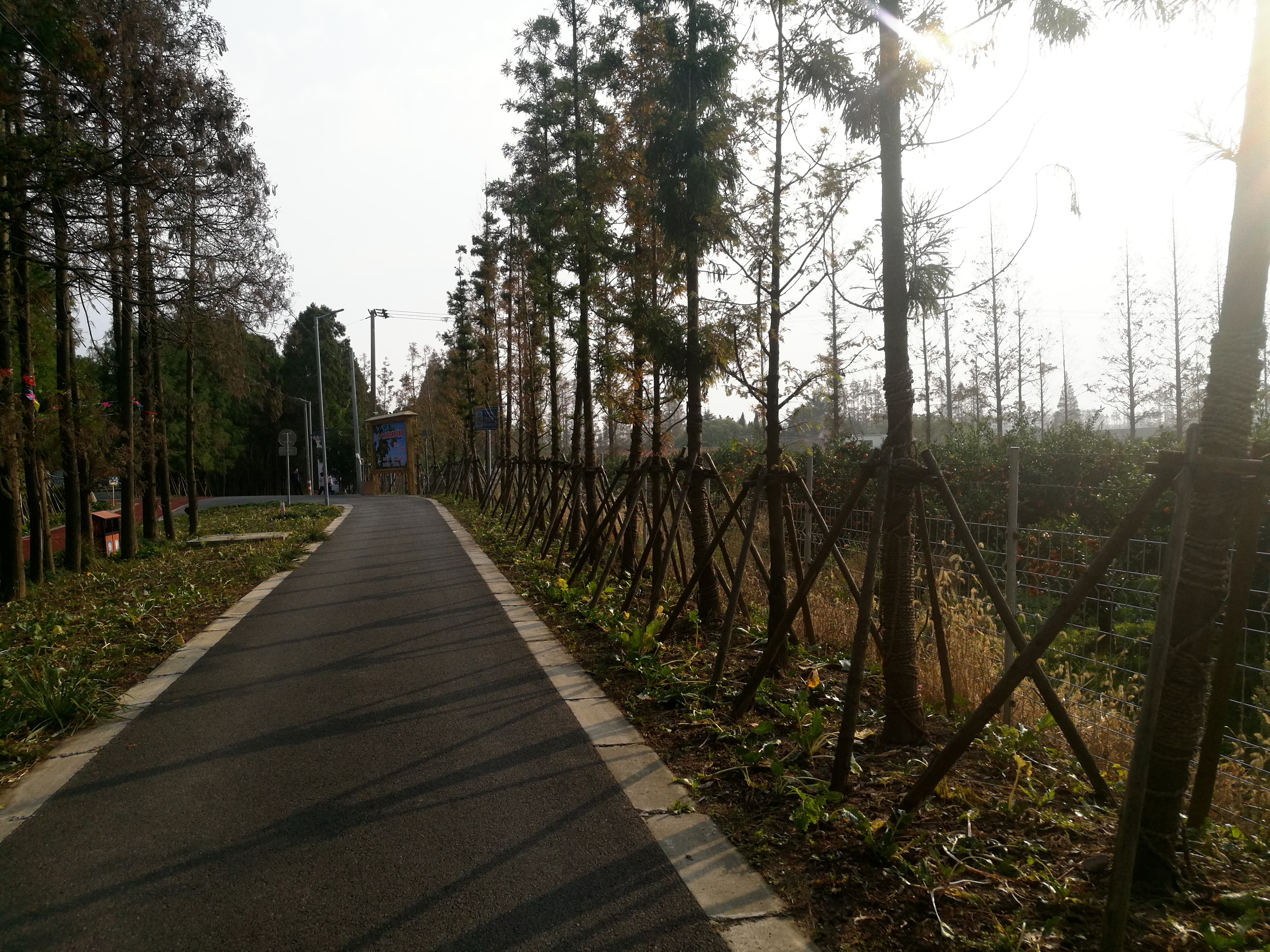 上海长兴岛郊野公园可以看见海吗,长兴岛郊野公园离上海站有几公里