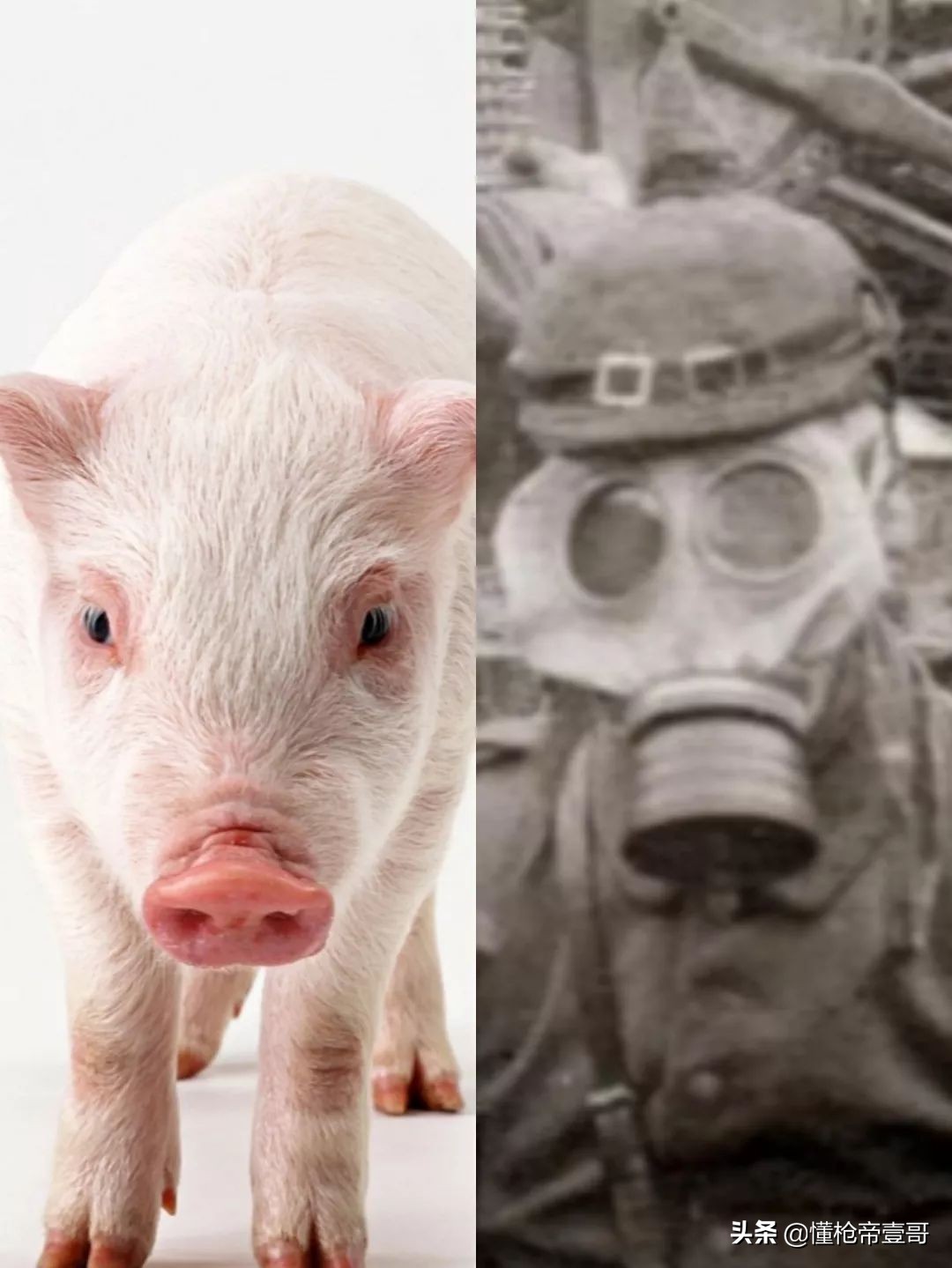 防毒面具有阻止病毒的功能吗,防尘面具对冠状病毒有用吗