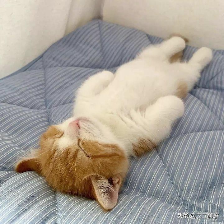 “压力太大，实在熬不下去了”|自杀前，先试试这四种自救方法