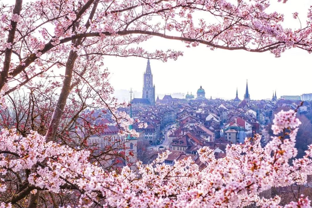 瑞士旅游攻略你想知道的都在这里,瑞士银行旅游