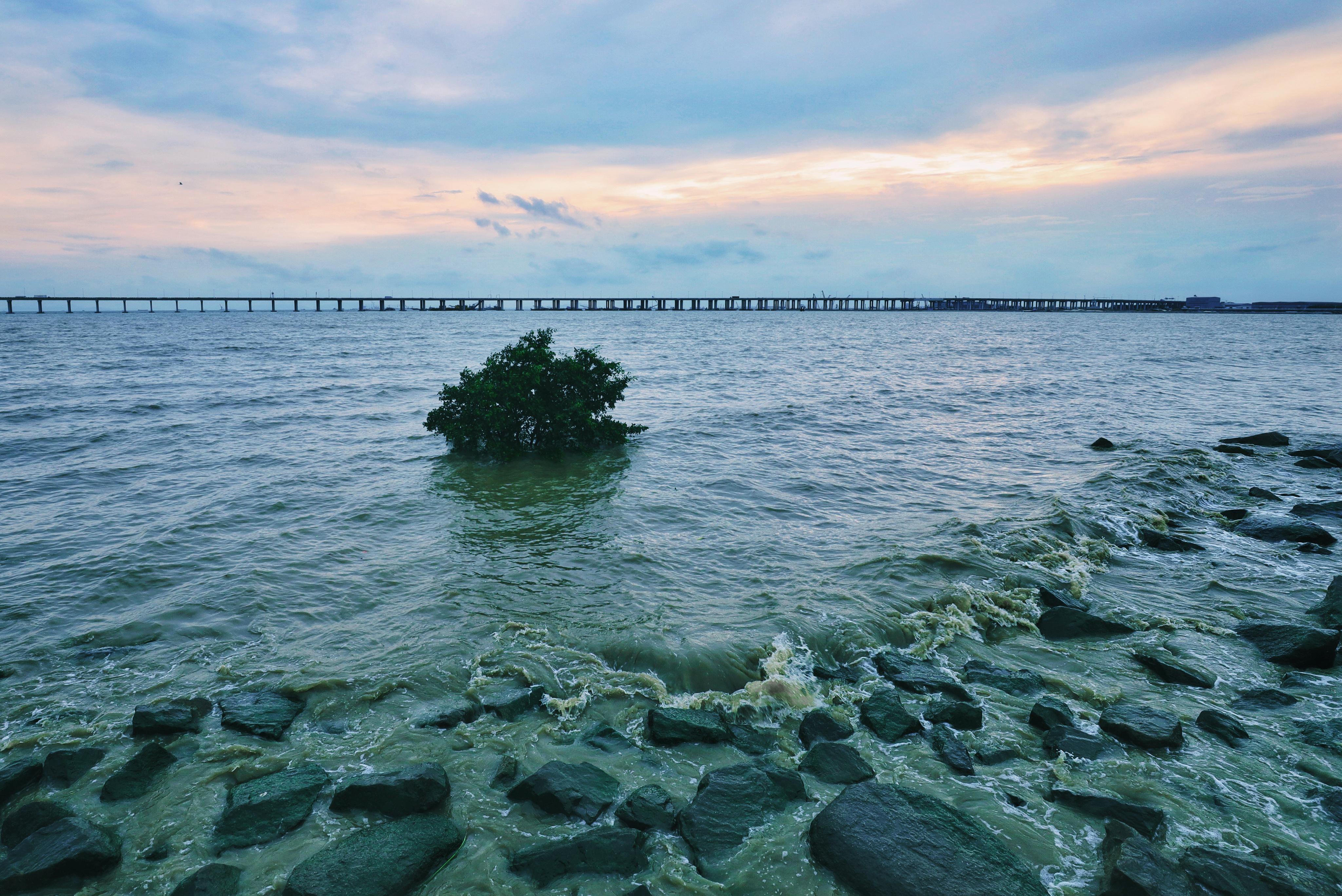 拍照教程教你如何拍出好看的照,教你4个技巧助你拍出光影美照