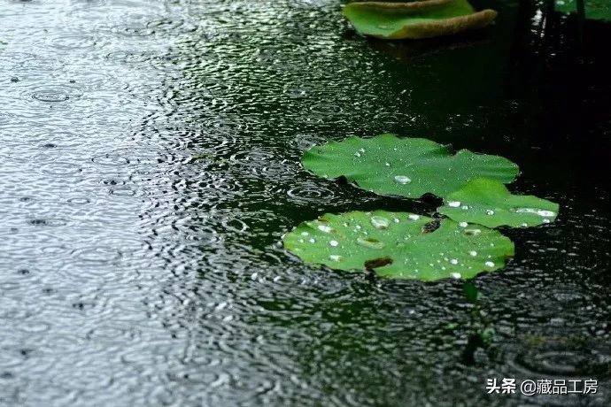 转瞬夏将至,转眼夏日已尽