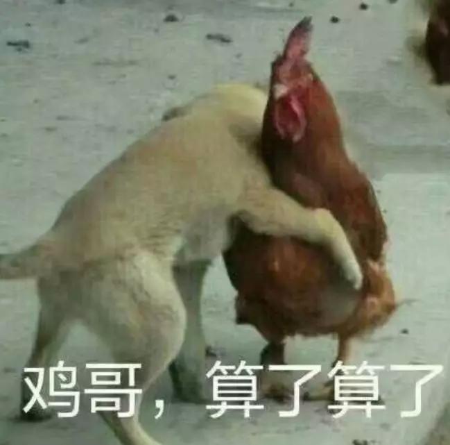 中国男篮十大打架高手第一名,中国男篮打架十大人物