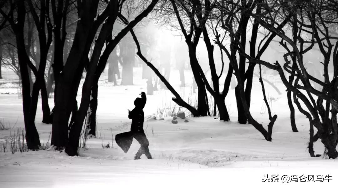 冯仑做生意的最高境界,冯仑谈什么人适合创业