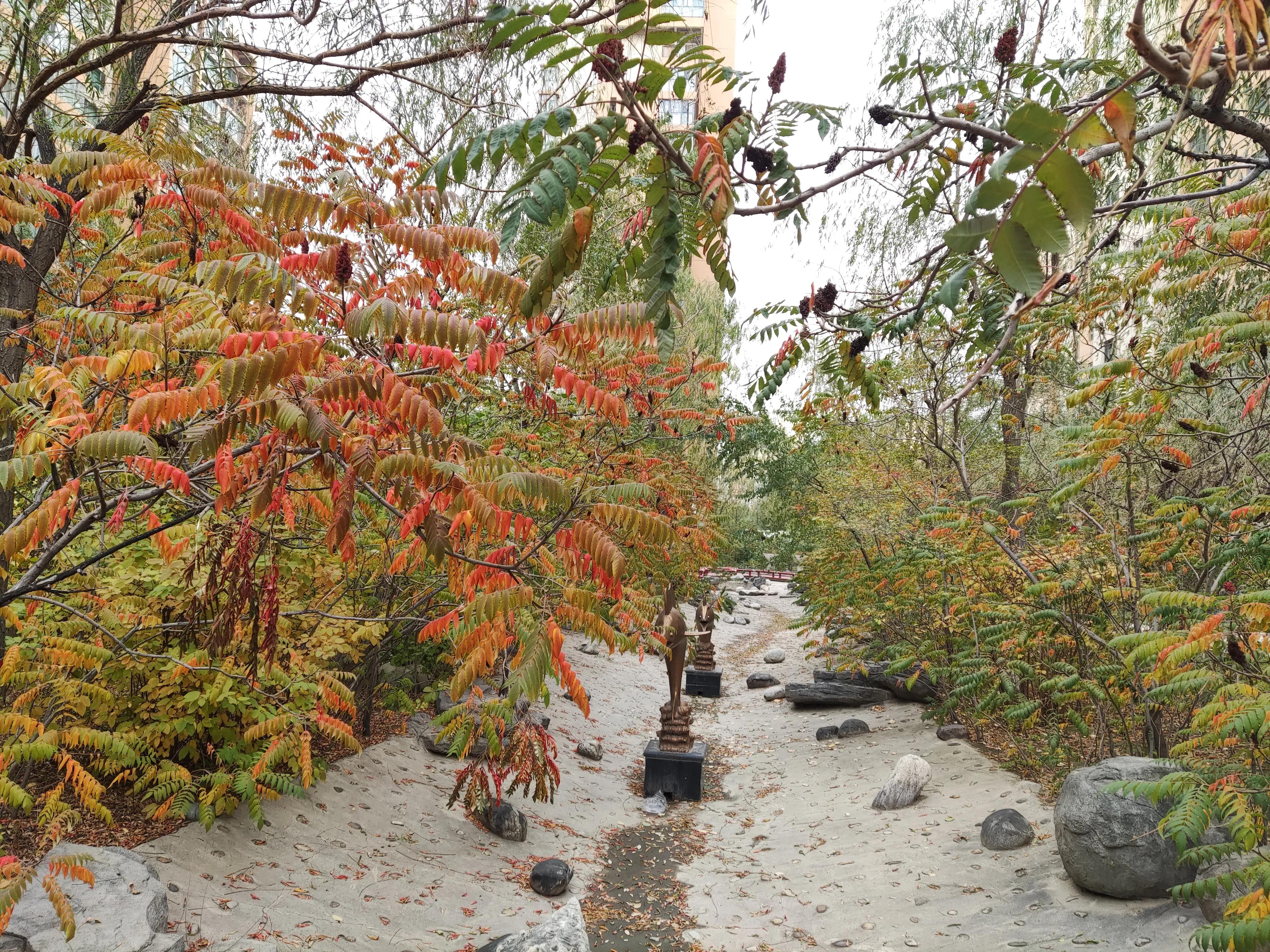 乌鲁木齐市南湖绿化广场附近小区,乌鲁木齐绿化最好的公园