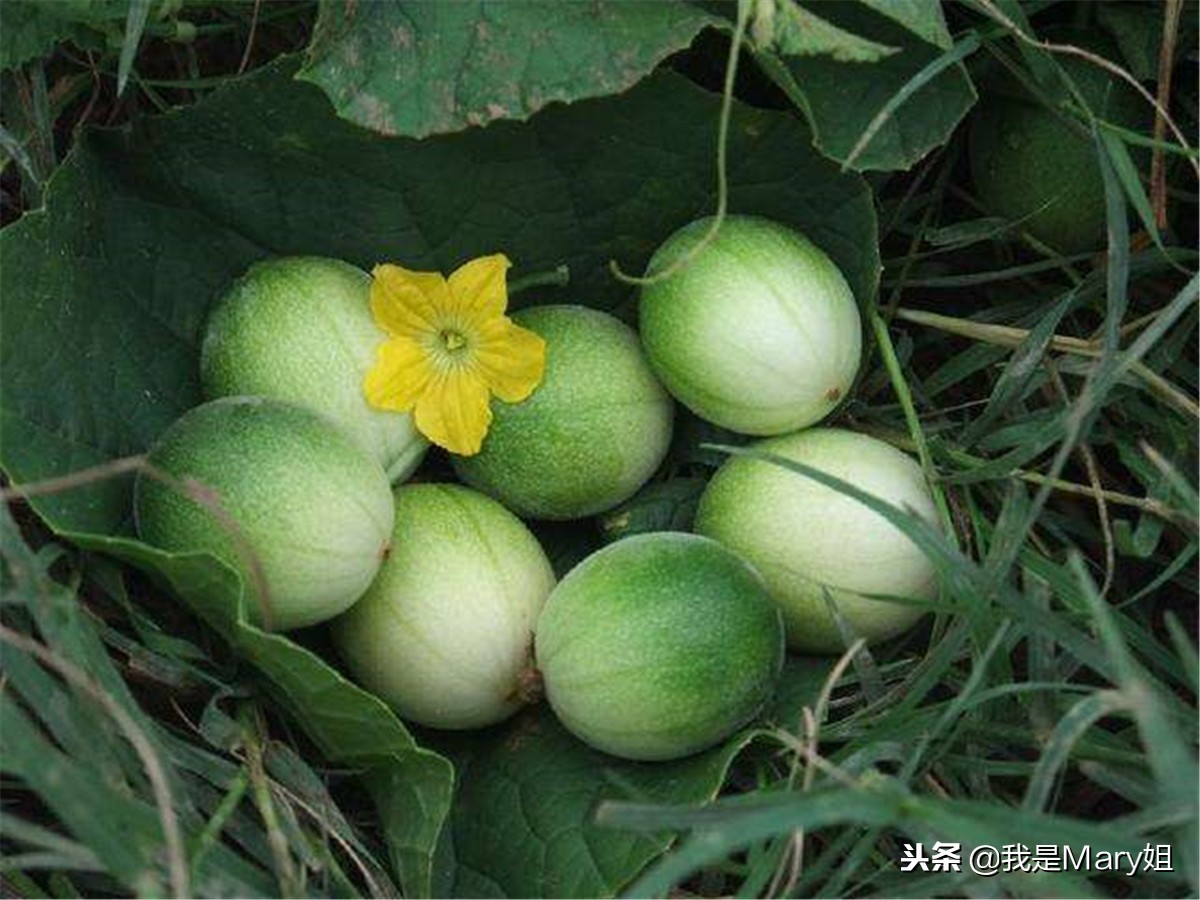 80后回忆学校门口零食,80后零食回忆