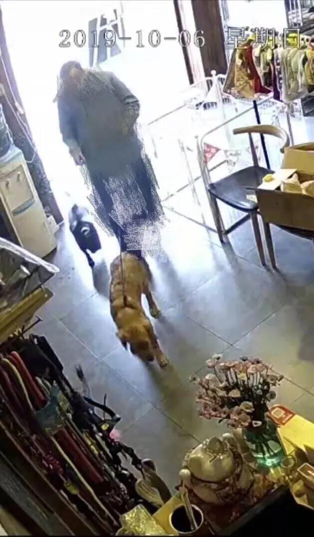 金毛被男子疯狂虐待，志愿者被威胁报复，有些人内心到底有多黑暗