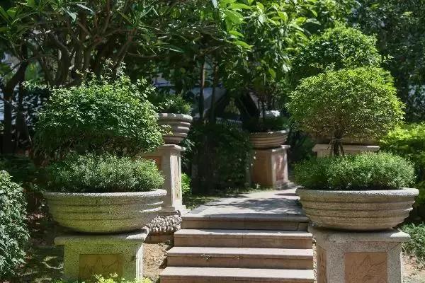 新房和二手房相差50w哪个值得买,买房问答01