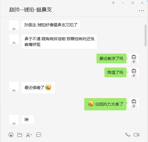 猫咪打喷嚏眼睛有分泌物怎么办,猫咪打喷嚏伴随呕吐怎么办