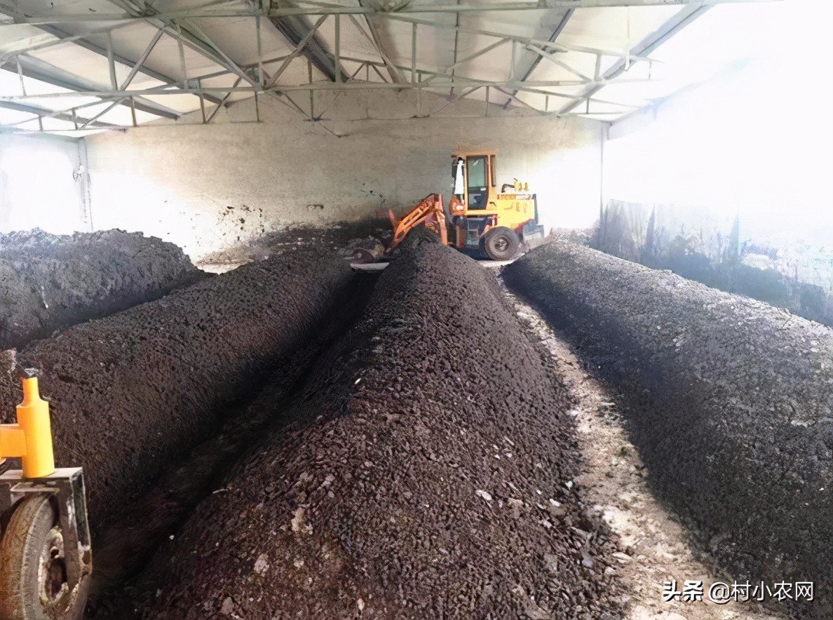 适合农村创业的最新致富项目,多个适合在家里创业致富的好项目