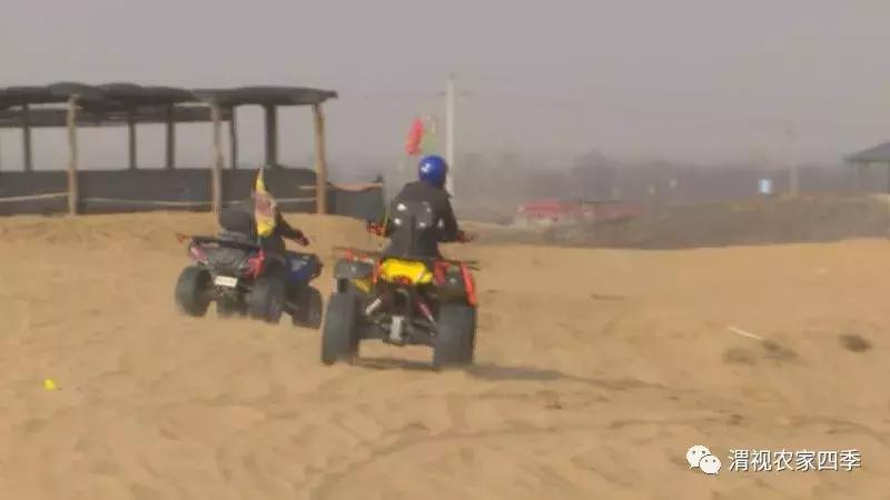 大荔金沙岛好玩的地方,大荔县金沙岛