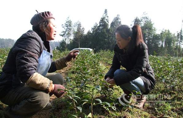 农村籍大学生回乡创业,90后大学生放弃工作回农村创业
