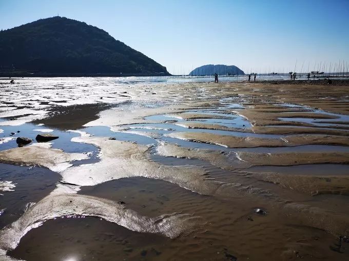 霞是光，浦是海：光与海的对话，吟唱出最美的滩涂